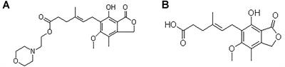 Pharmacokinetics of Mycophenolate Mofetil and Development of Limited Sampling Strategy in Early Kidney Transplant Recipients